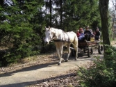 Nasz Ośrodek Jeździecki