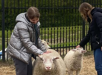 ośrodek jeździecki